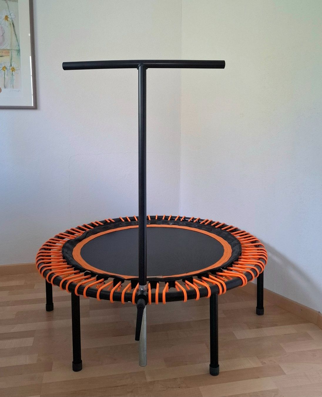 Bellicon Trampoline: Bellicon Trampolin – Neu (gemäss Beschreibung) aus Rüti ZH von pat_jx6n