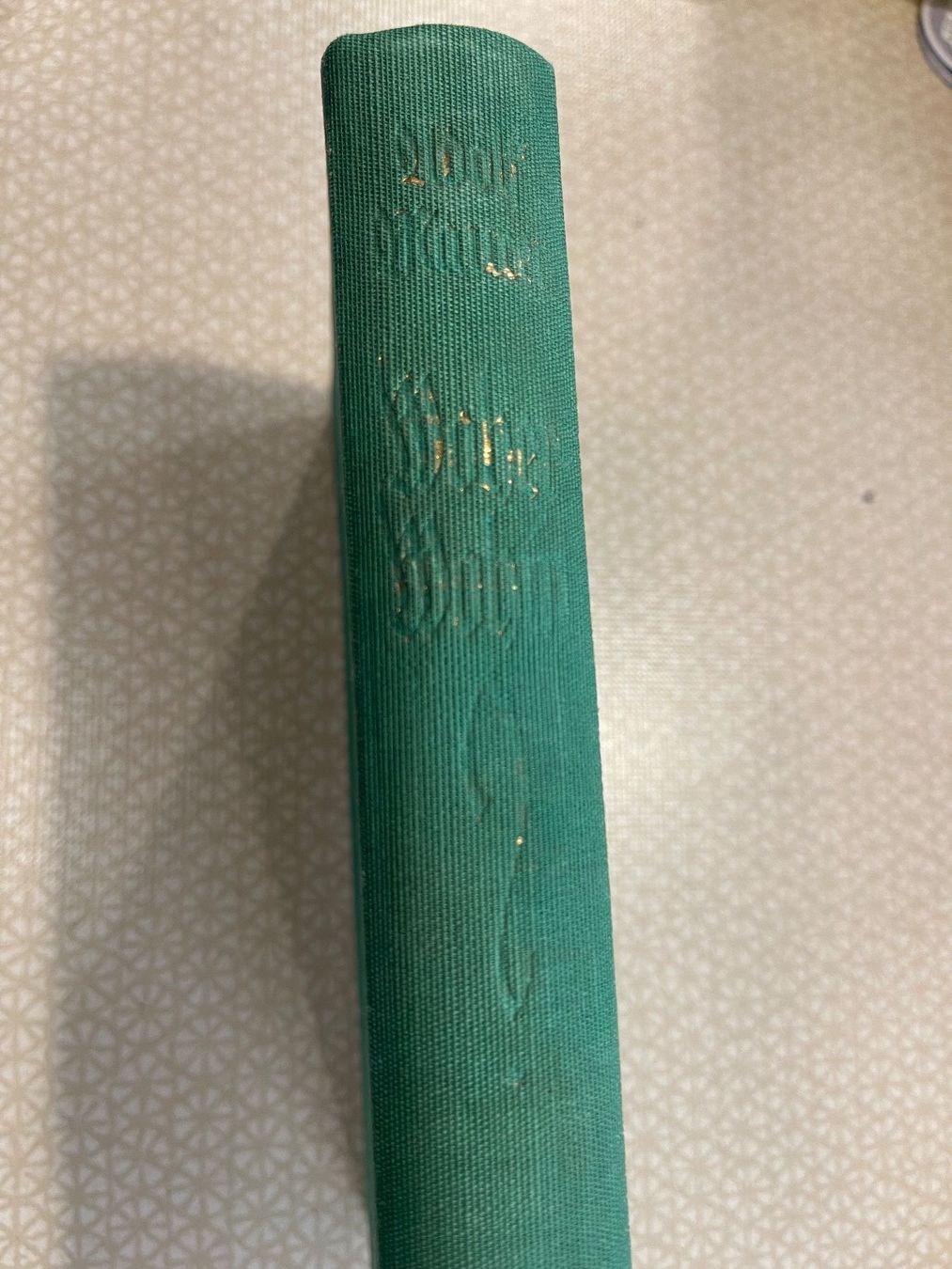 Libri: Woher?-Wohin? von Wolf Maurer – Usato da Urnäsch venduto da pas_5r9c 1