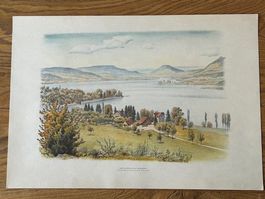 ✏️ Original Lithographie E. E. Schlatter: Untersee Mammern ❗
