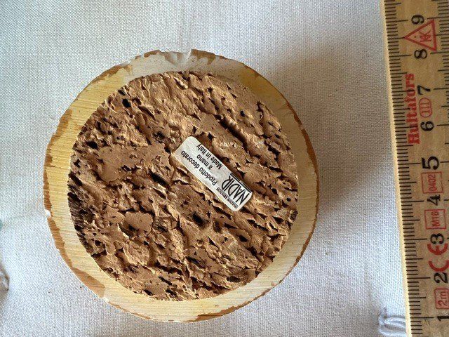 Bicchieri: Nadir Spaghetti Glas – Usato da Sempach venduto da Tule7 4