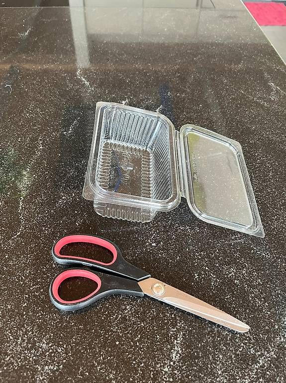 Contenitori & Simili: Disposable Plastic Containers 350ml - Hotform Recty – Usato da Rütihof venduto da SwissEritageAndMore 3