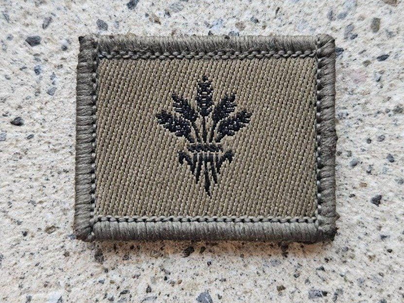 Schweizer Armee Placchette & Badge: *** Funktionsabzeichen  Nachschubsoldat Klett *** – Nuovo e nell'imballaggio originale da Riedholz venduto da fr_sIruP