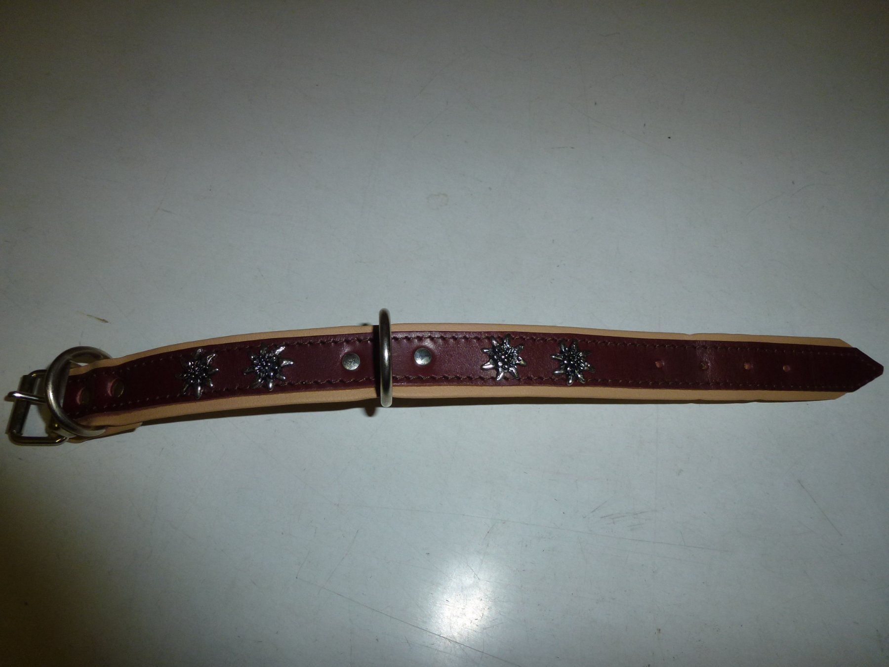 Leine & Halsband: Hundehalsband – Neu (gemäss Beschreibung) aus Bürglen UR von daisyxy5 2