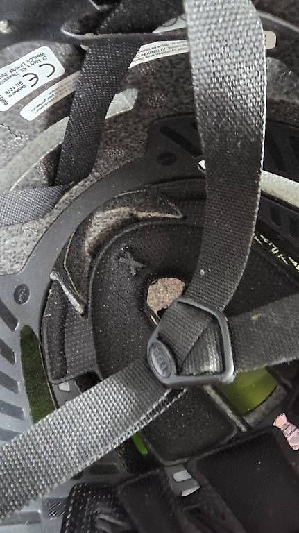 Caschi: Bell Velohelm wenig gebraucht,  – Usato da Ettingen venduto da 1964erNachtzugfahrer 1