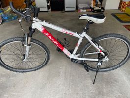 Bike 42 cm lady Series