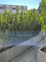 3 Terrassentöpfe inkl. Bepflanzung
