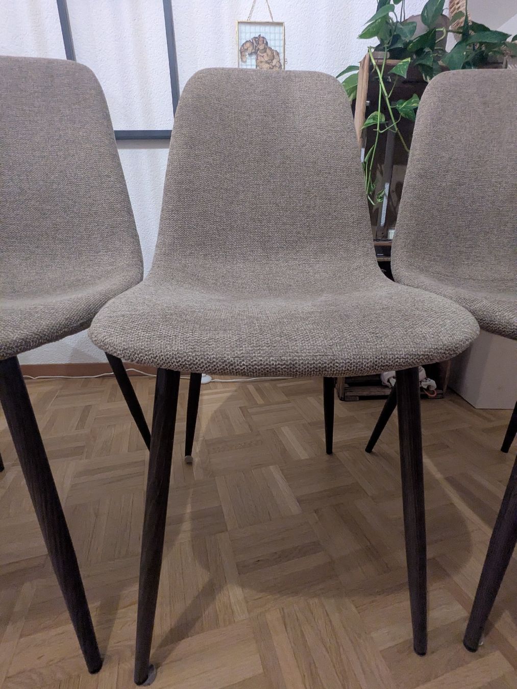 Stühle: Stühle – Neu (gemäss Beschreibung) aus Bern von sim_h52b 1