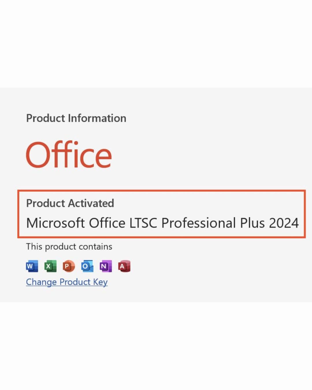 Office 2024 Professional Plus 1 PC Vollversion - Express (Usato) a ...