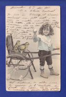 ENFANT - Petite fille et ses poussins