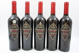 5x Casato Mastino Valpolicella Ripasso Superiore (26071668Z)