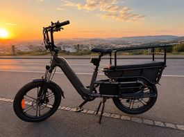 Elektrofahrrad für Familie,Sport,Strand,Berge,Strasse