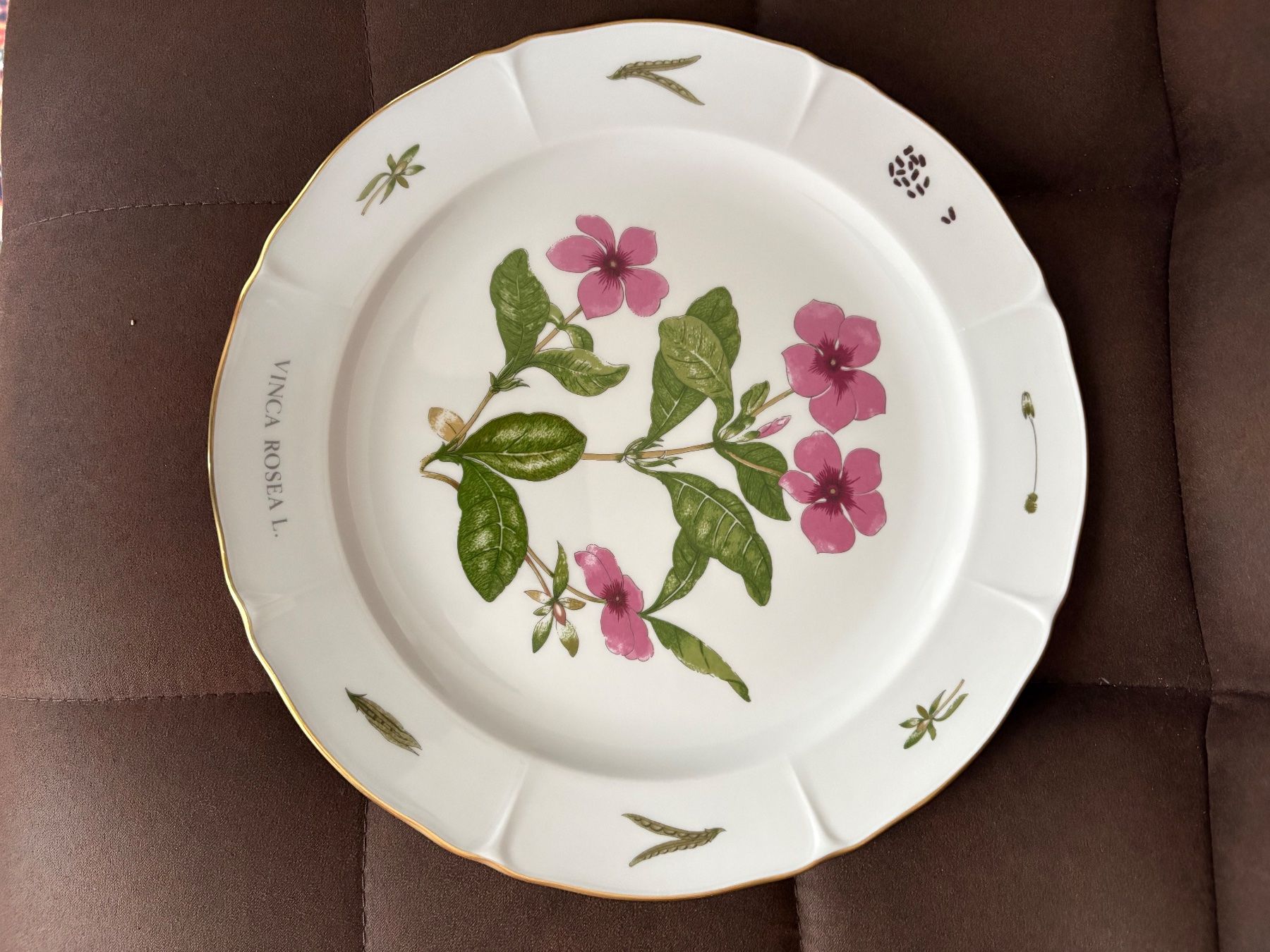 Siegfried Piatti: Assiette Langenthal porcelain Botanique Siegfried collection – Usato da Crans  Montana venduto da proff