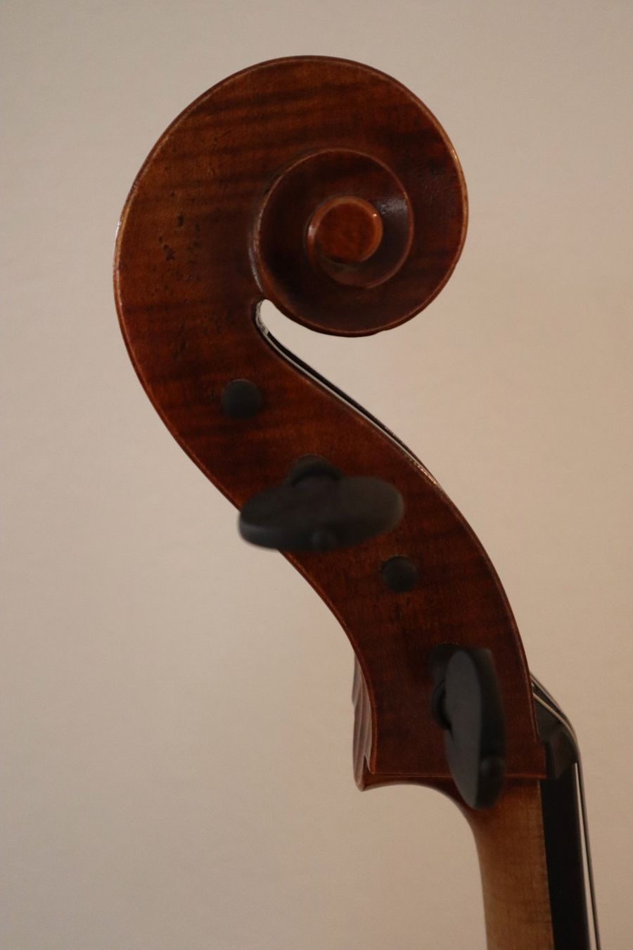 Instruments de musique: Lothar Semmlinger 135A Cello inkl. Koffer & Ständer – Neuf (Voir description) à Gossau ZH par GimK_4er 3