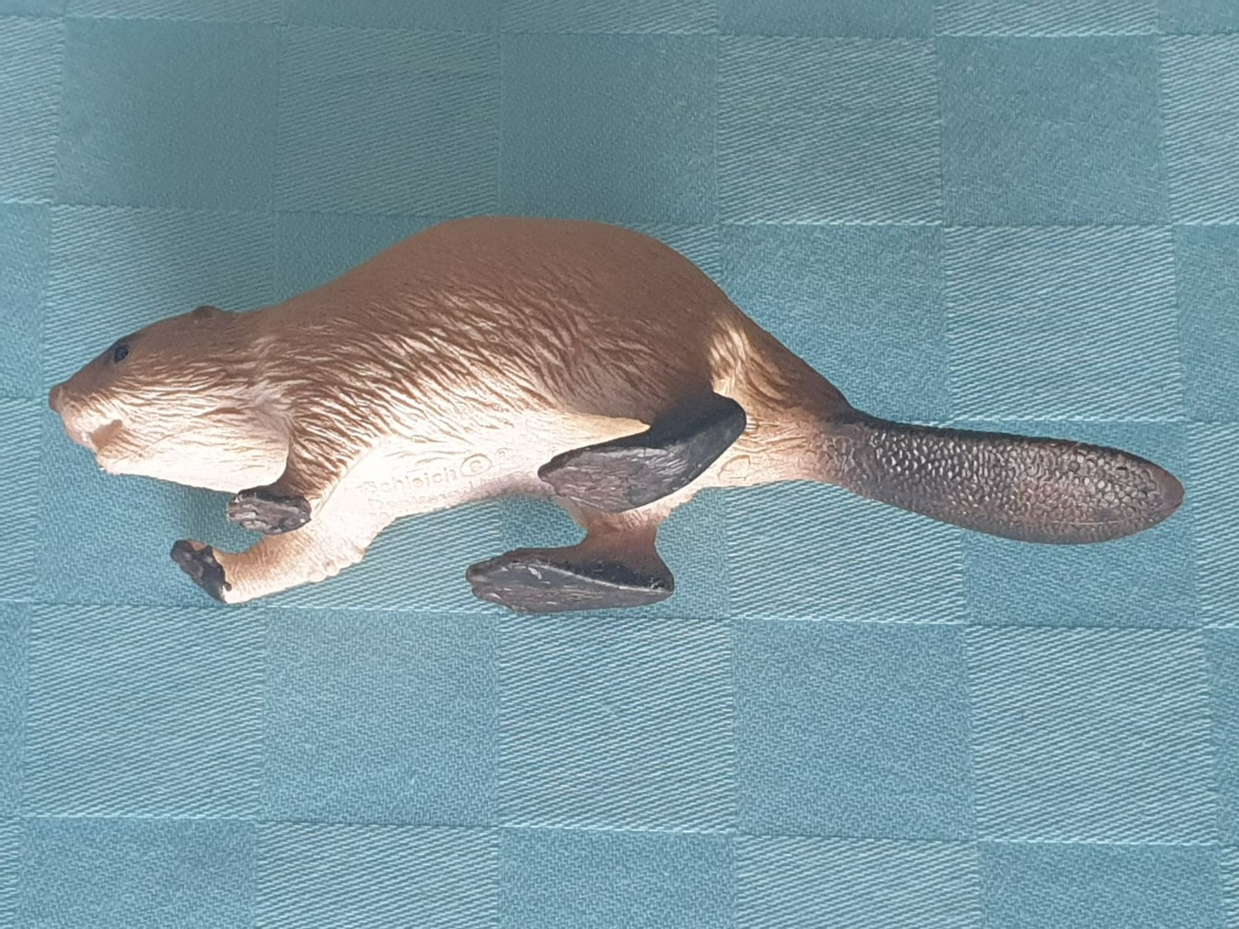 Schleich Statuette: Biber Tier Schleich – Usato da Mörschwil venduto da spirspi 7