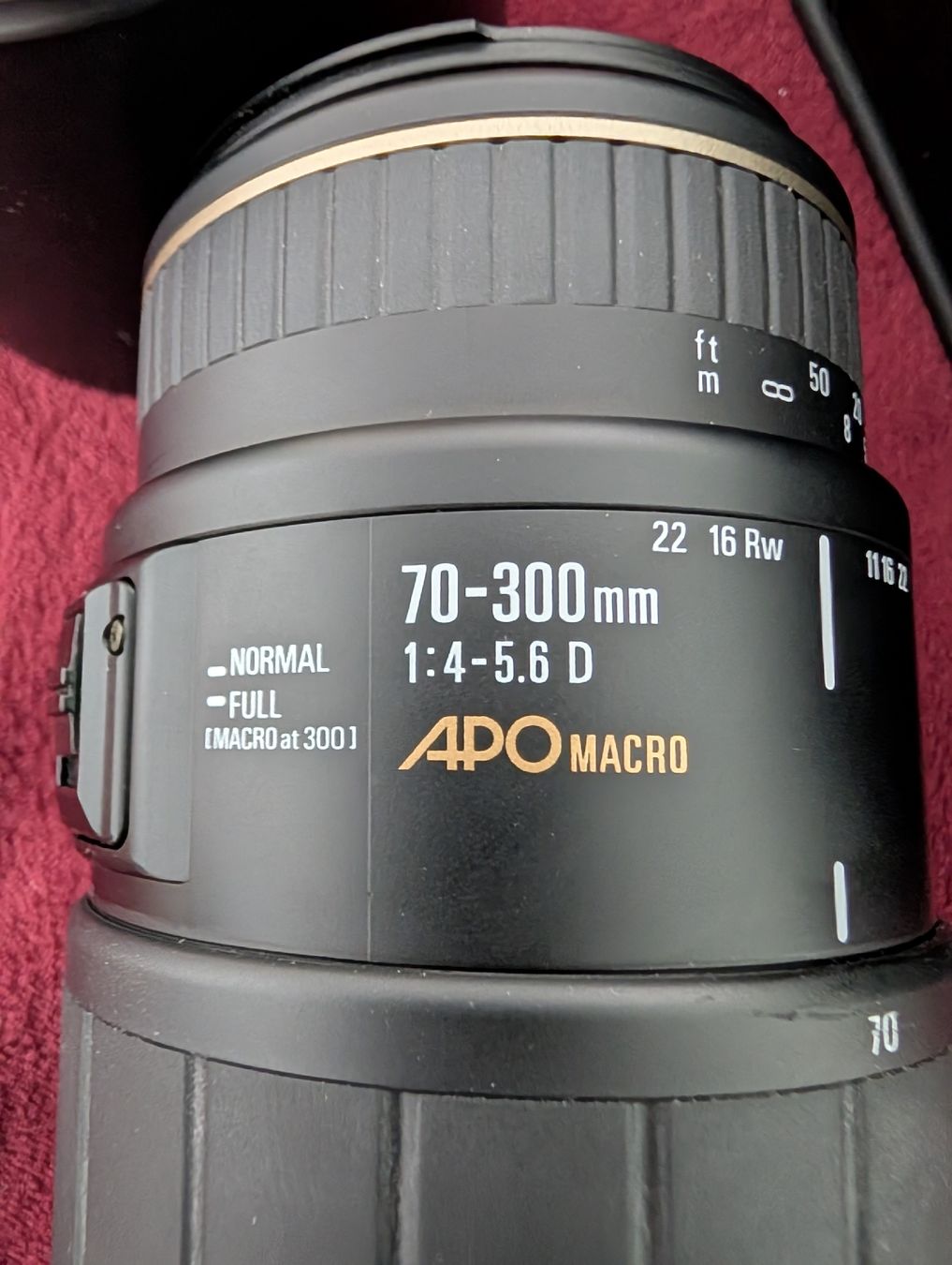 Sigma Obiettivi: Sigma APO Macro 70-300mm – Usato da Vilters venduto da tha-tha 1