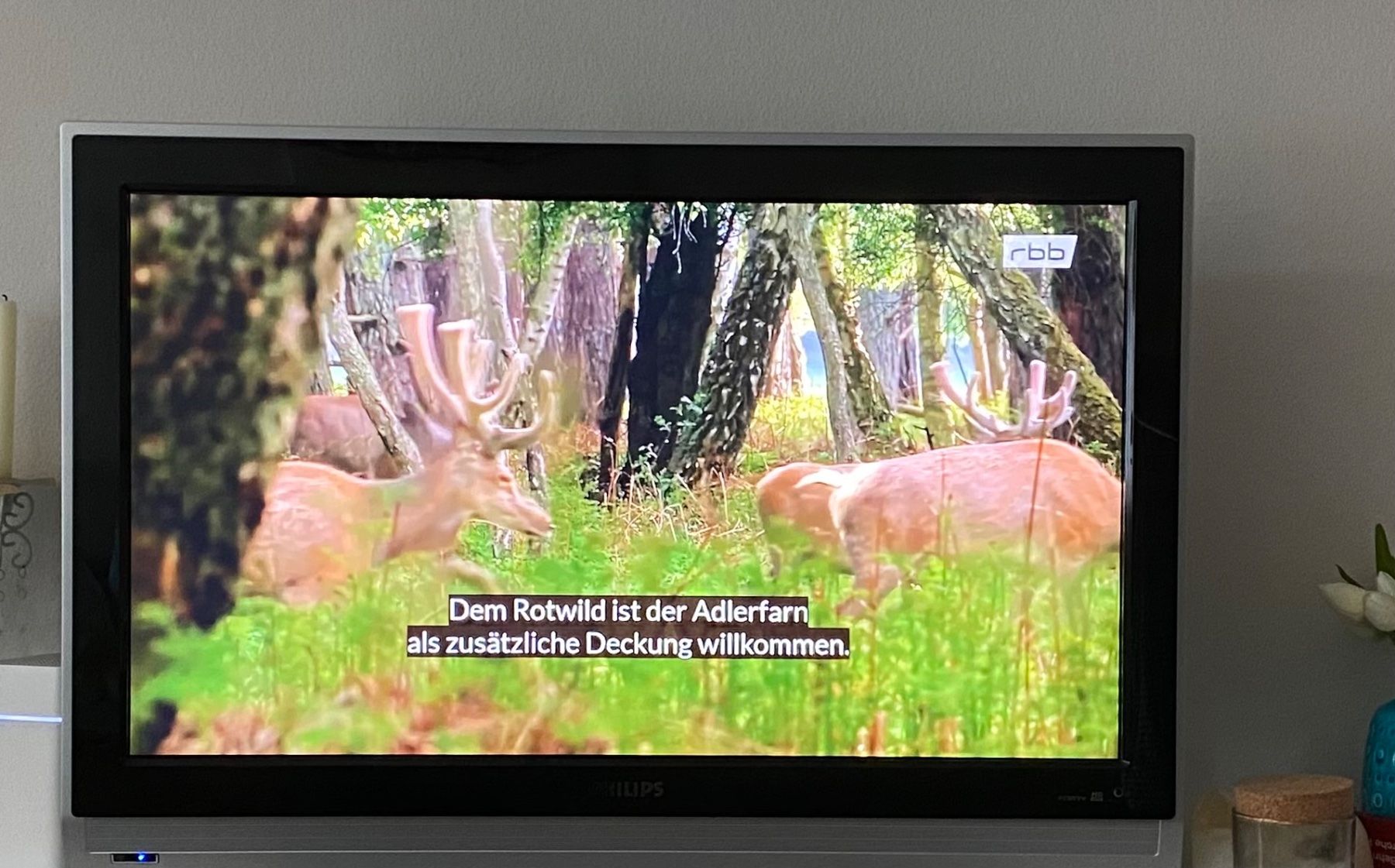 Philips Televisori: Philips TV – Usato da bern venduto da nani123 5