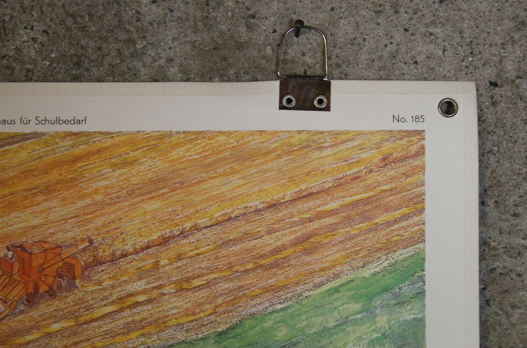 Poster & Bilder: Schulwandbild "moderner Bauernhof" – Gebraucht aus Birrwil von brandschatz_birrwil 3