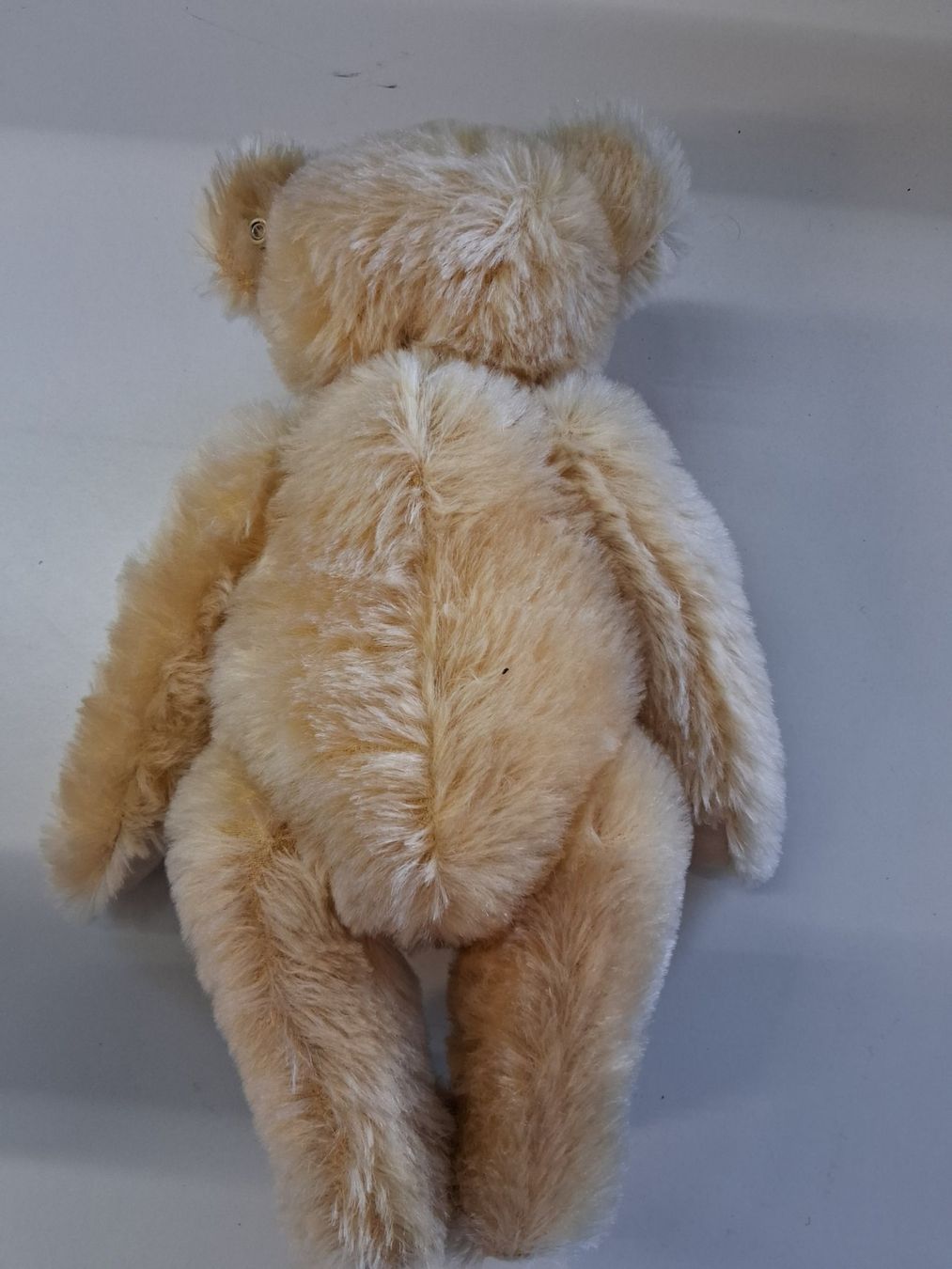 Steiff Giocattoli: Steiff Teddybär ca. 35cm – Usato da Lengnau venduto da robinie02 1