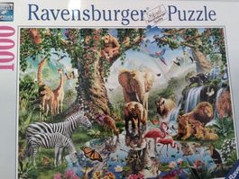 Ravensburger Puzzle 1000 Teile Tierparadies neuwertig
