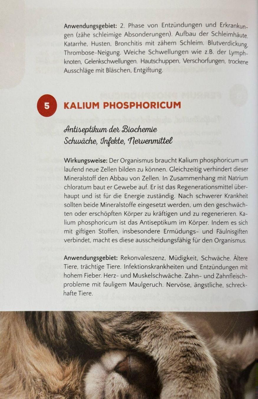 Bücher: Grafe Helga, Schüssler Salze ...... tierisch gut – Gebraucht aus Sarnen von Livres 7