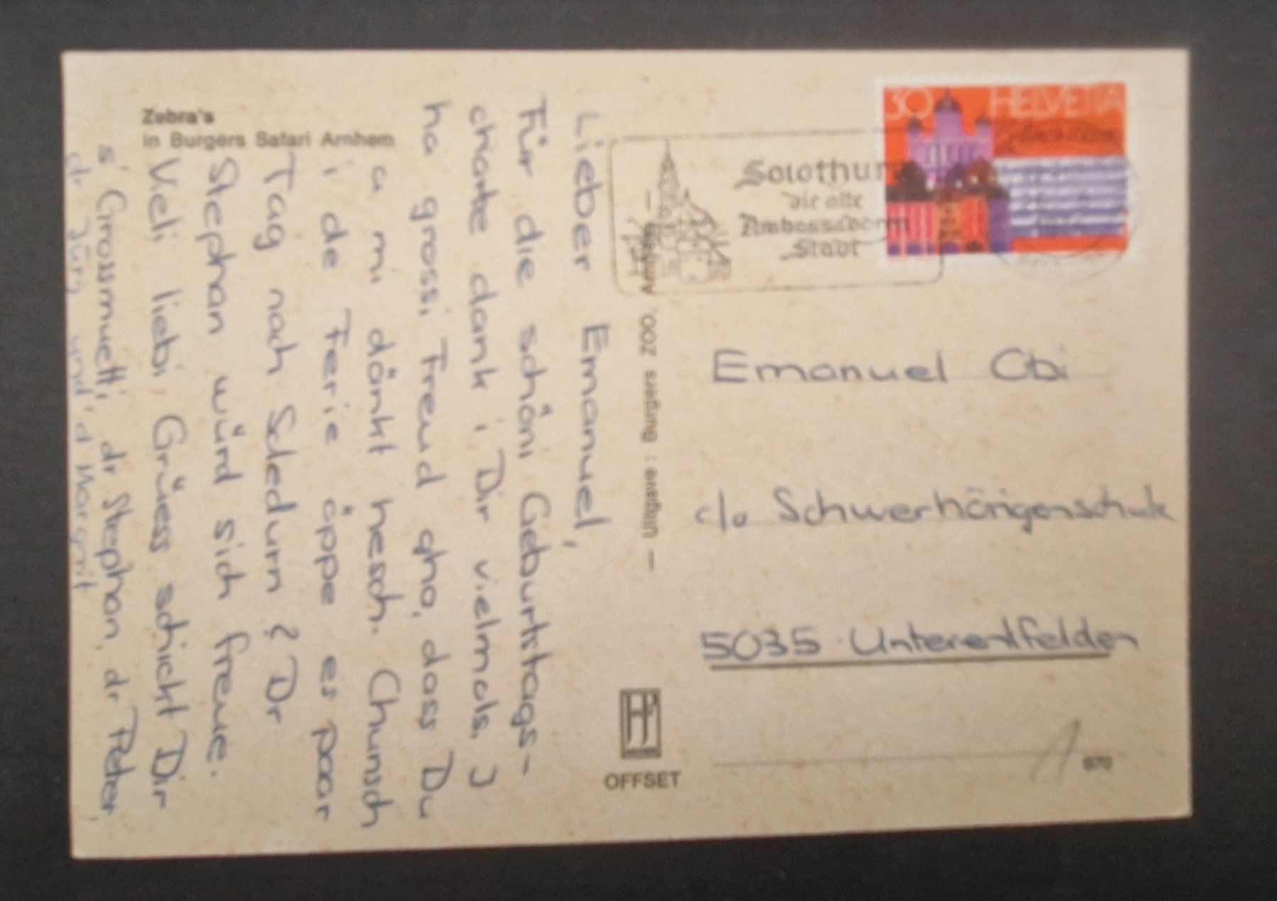 Cartoline postali: Safaripark Zebra 1974 Arnhem – Usato da Melchnau venduto da Fishel 2