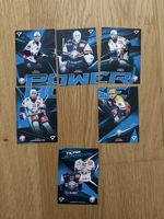 SportZoo Power House ZSC Lions