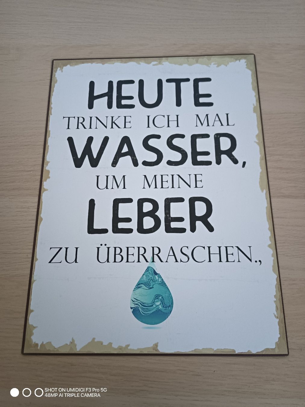 Schilder: Blechschild Heute trinke ich mal Wasser, – Neu und originalverpackt aus Aarwangen von to-hirschi