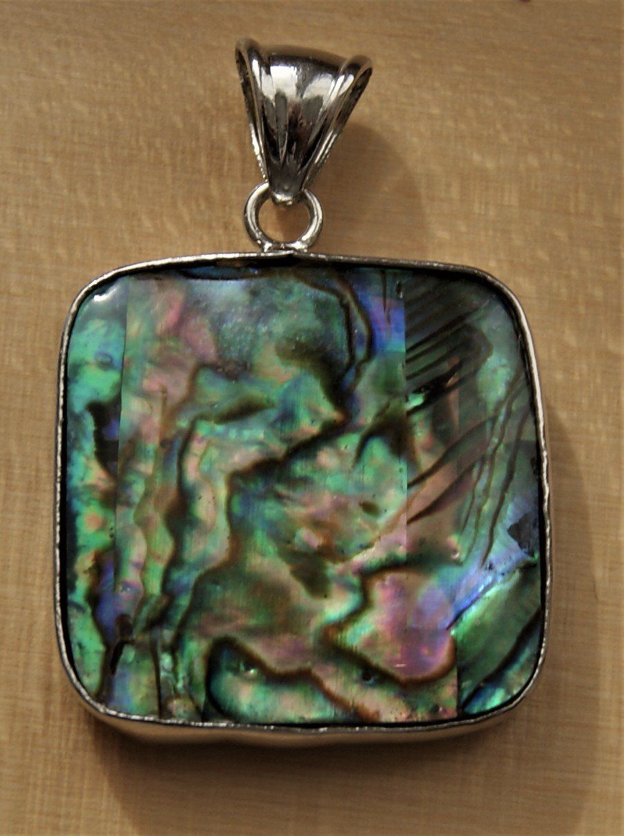 Anhänger: ABALONE-PAUA  Muschel-Anhänger – Neu (gemäss Beschreibung) aus Stadel von Wald100