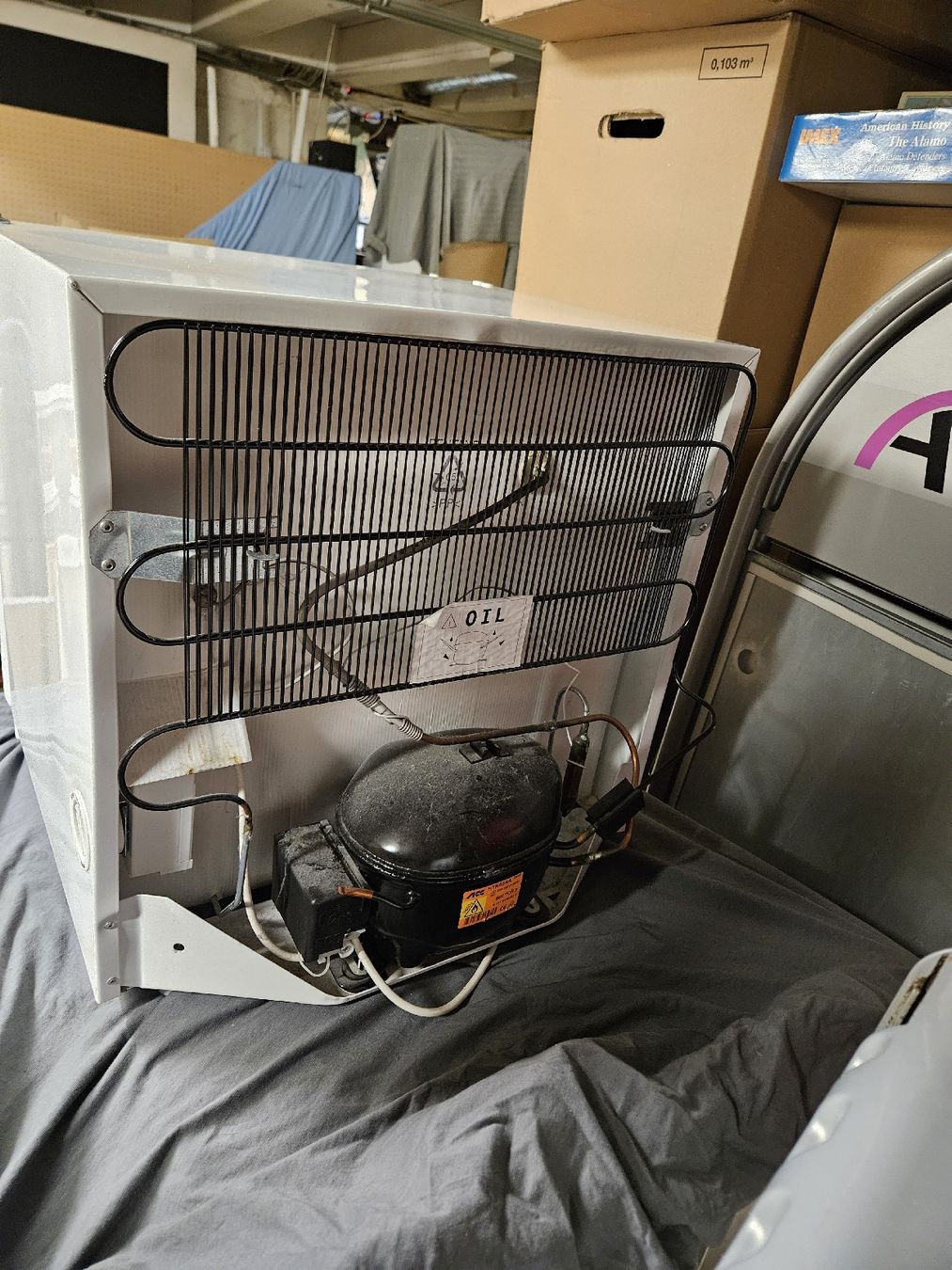 Congelatori: Electrolux FB 50 I Kuehlschrank weiss gebraucht – Usato da Rorschach venduto da TimelessTrading 2