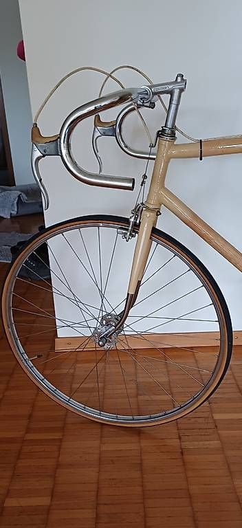 Biciclette: Rennvelo aus Bambus – Usato da Berikon venduto da rog_89hg 2
