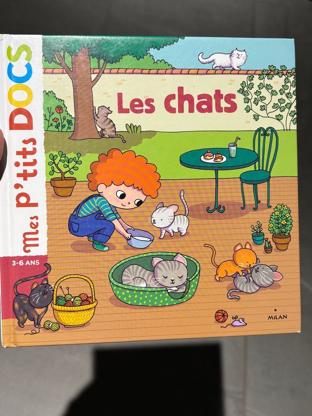 Libri: Livre mes petits docs les chats – Usato da Salvenach venduto da gwenwywar