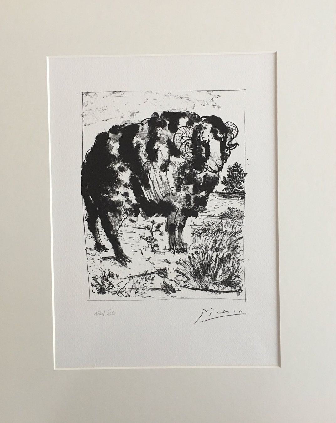 Grafiken & Lithographien: Pablo Picasso   Buffon  "Le Belier" – Gebraucht aus Nennigkofen von Sommersonnen 1
