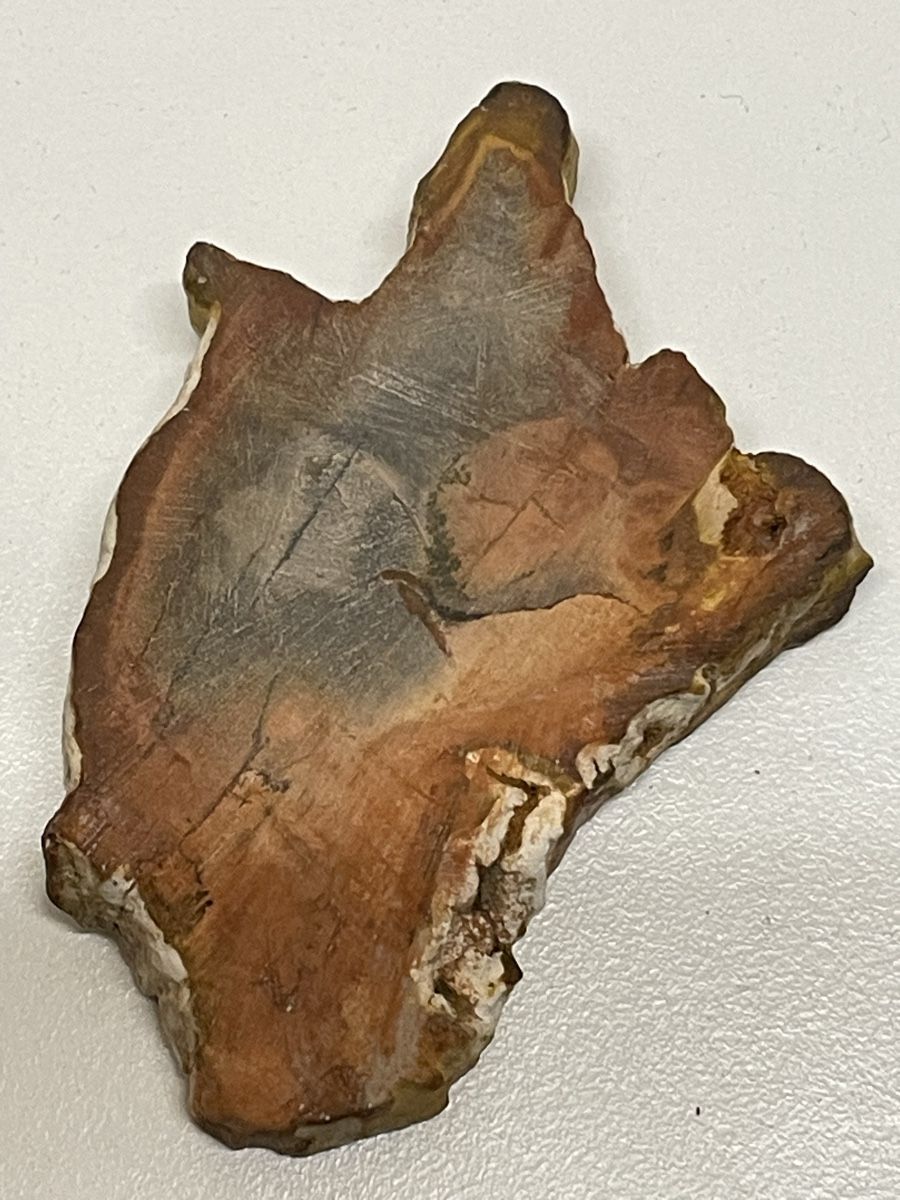 Minerali & Pietre curative: Heilstein / versteinertes Holz / Edelstein – Usato da Rümlang venduto da euqinom16 2