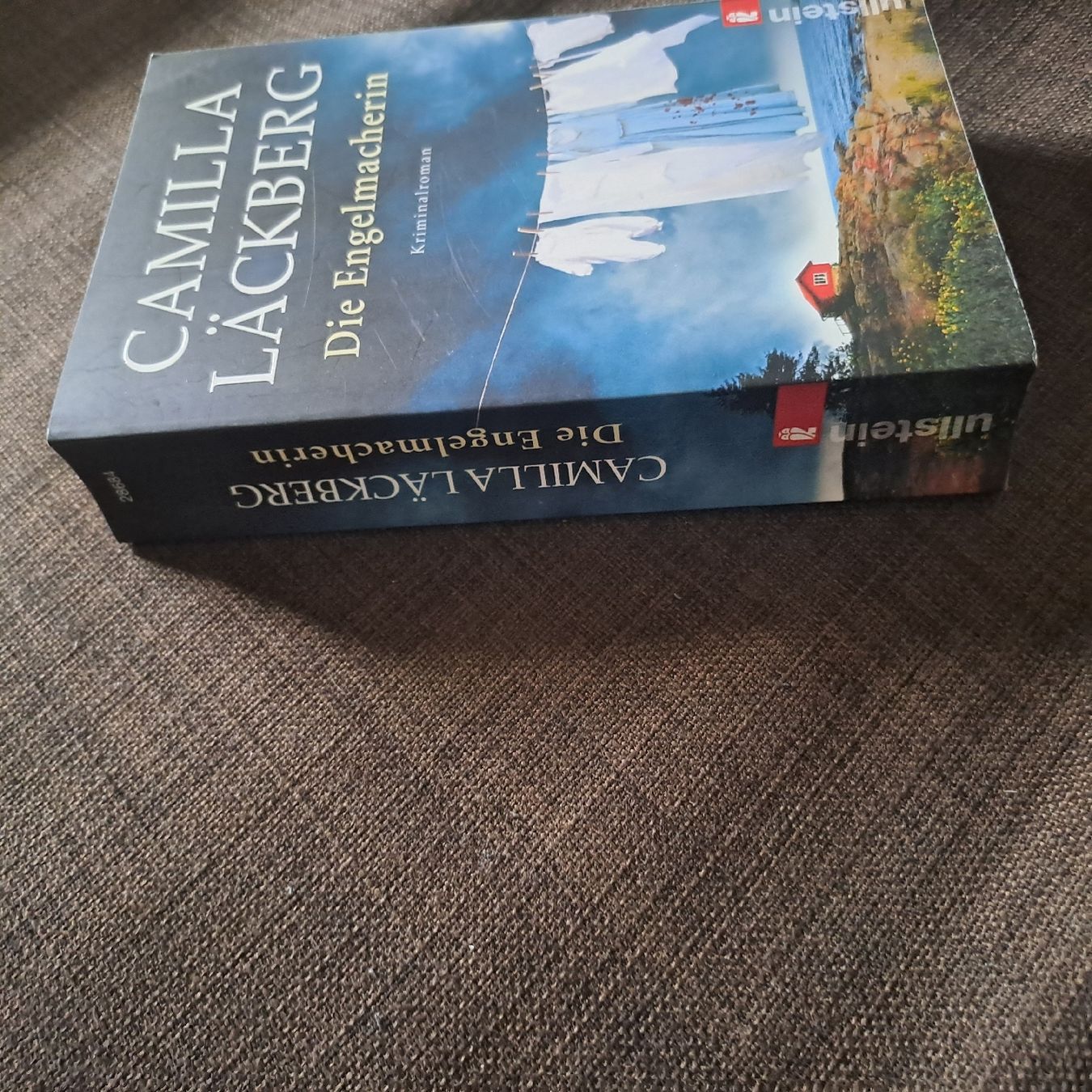 Libri: Camilla Läckberg – Usato da Oberengstringen venduto da ger_v5h5 1