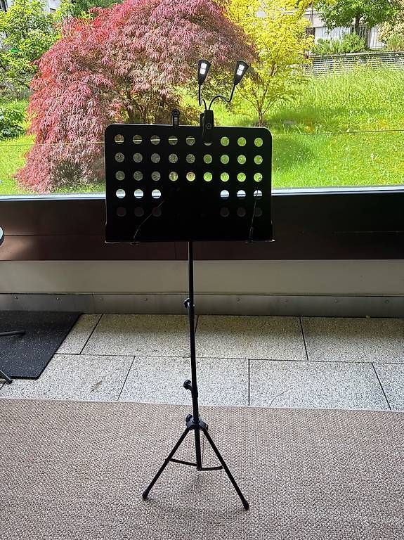 Supporti per strumenti musicali & leggii: Notenständer mit Doppellampe und Notenhalter – Usato da Bern venduto da alp_wph8