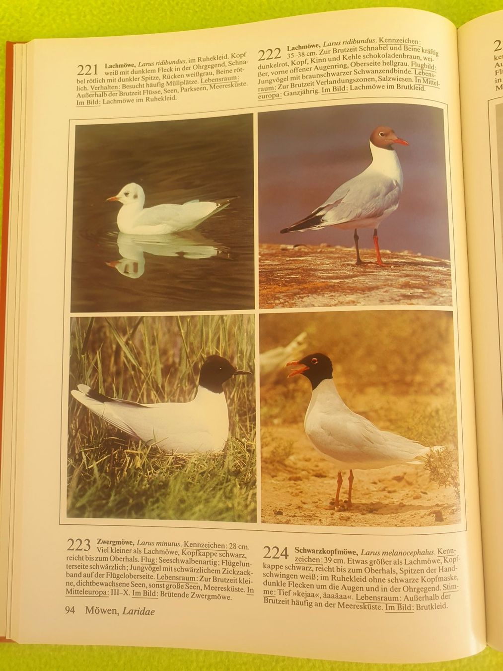 Bücher: Fotoatlas der Vögel – Gebraucht aus Steinhausen von joseph-sen 5