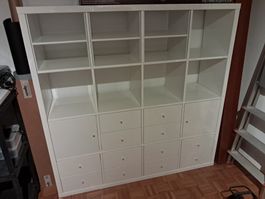 Kallax Hochglanz Regal mit vielen Fächern