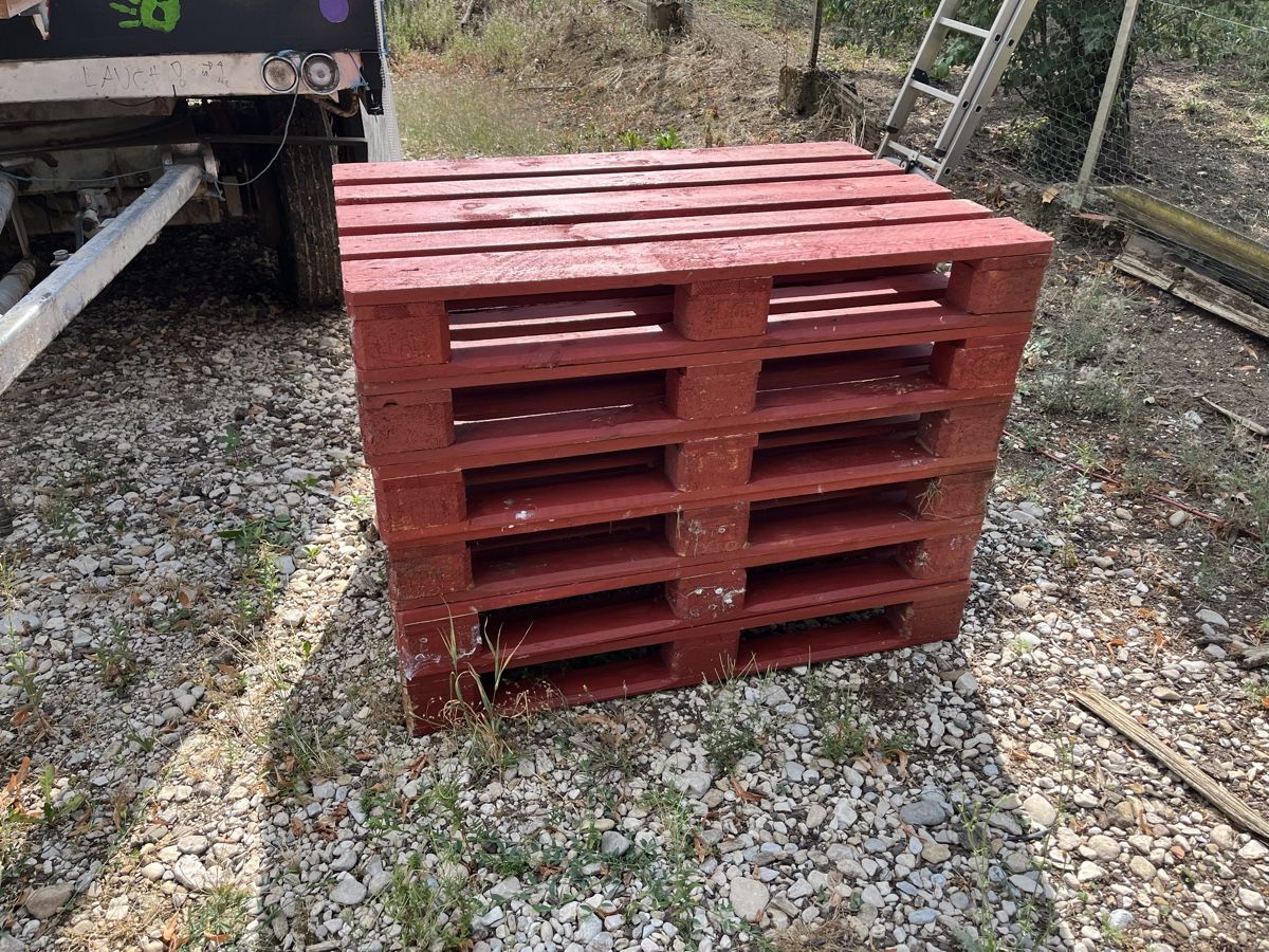 Pallets: Rote Europaletten – Usato da Muttenz venduto da Sumsi12