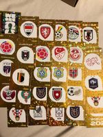 WM 2006 Sticker Panini - Raritäten und Sammlerstücke!