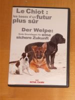 DVD: Der Welpe - Gute Grundlagen für eine sichere Zukunft
