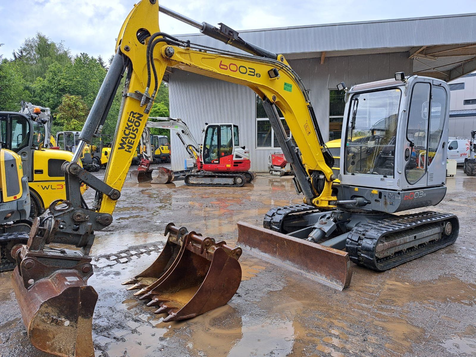 Wacker Neuson Escavatori: Raupenbagger Wacker Neuson 6003 – Usato da Rain venduto da Bob1000