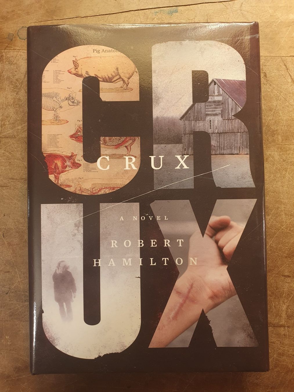 Libri: Crux - Robert Hamilton – Usato da Zürich venduto da loosebone