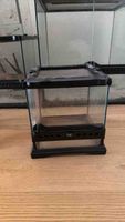 Terrarium Glasbehälter gebraucht