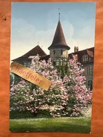 Alte Ansichtskarte: Schloss mit rosa Bluete, Zuerich