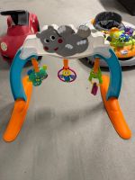 Chicco Baby Gym Hippo