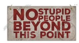 Deko-Schild No Stupid People beyond this point Türschild