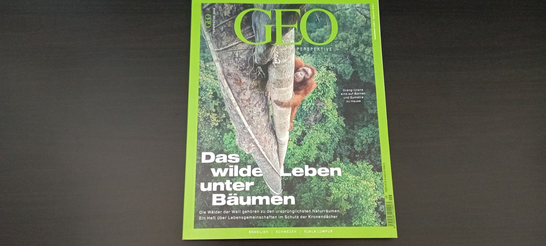 Riviste & Magazine: Geo Perspektive 2026 – Nuovo (secondo la descrizione) da Allschwil venduto da pri_9lsr