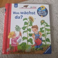 "Wieso Weshalb Warum Junior" Buch: Was wächst da? 🌱☀️🥕