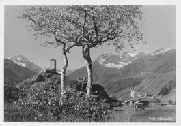 Ardez engadin G