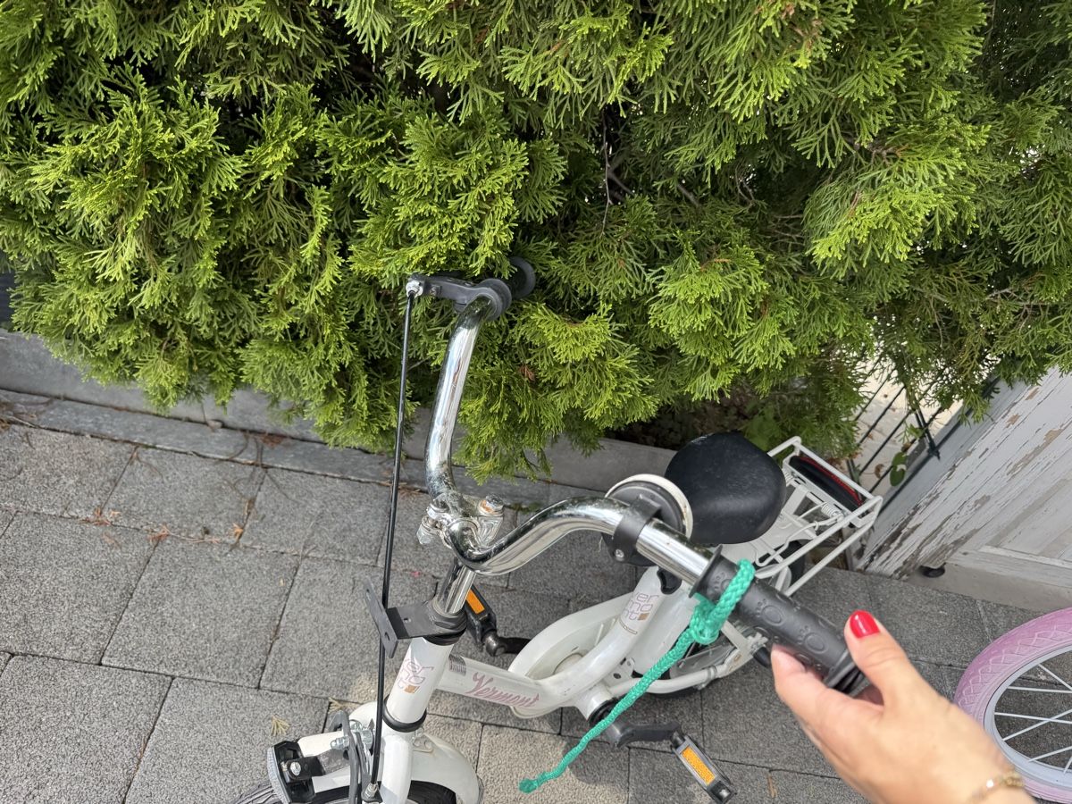 Biciclette: Kinder velo – Usato da Unterengstringen venduto da eno_7vwt 7